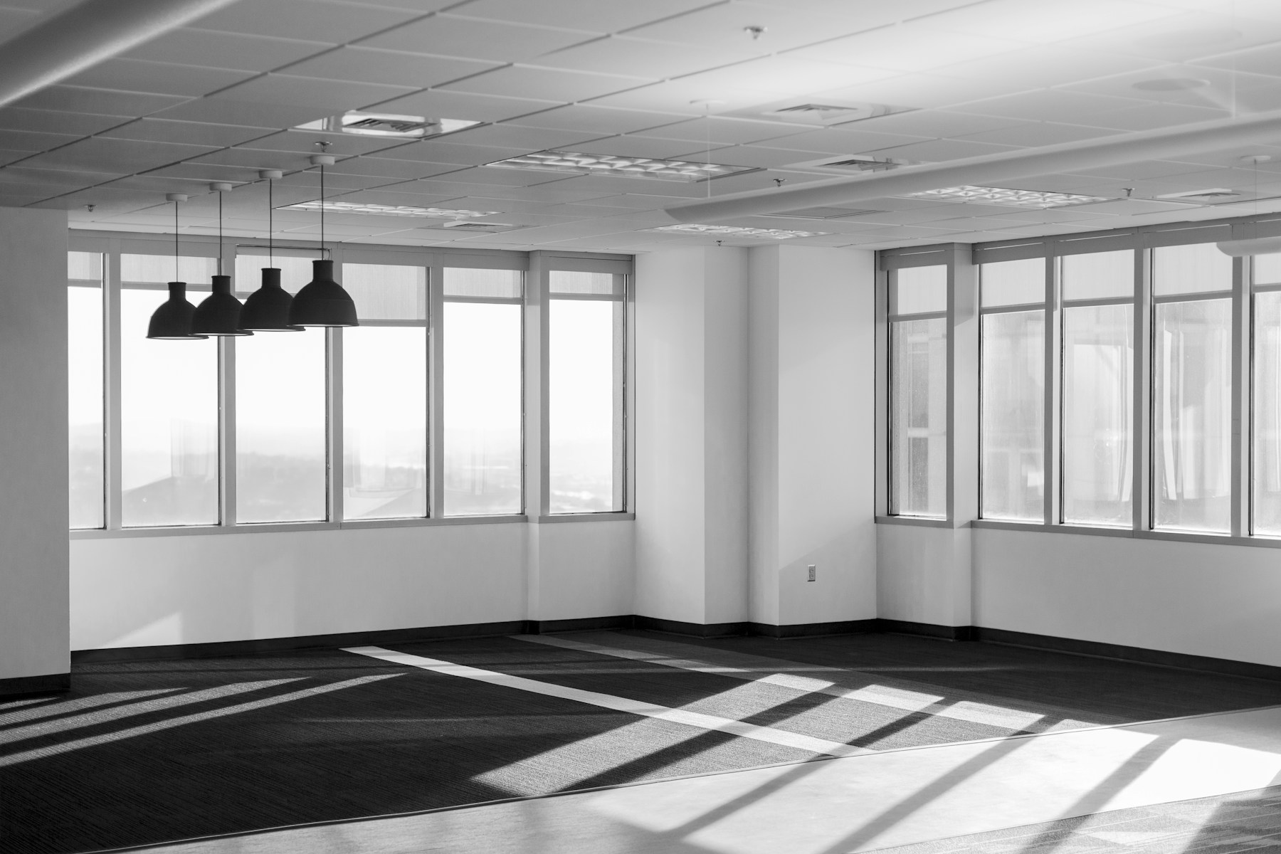 Bright commercial office